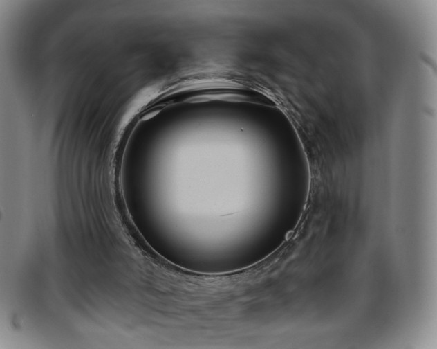 X0000097890006200803141343