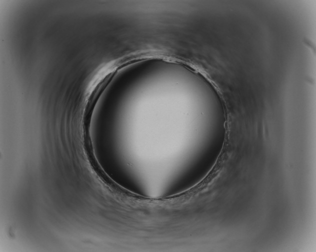 X0000097890007200803141343