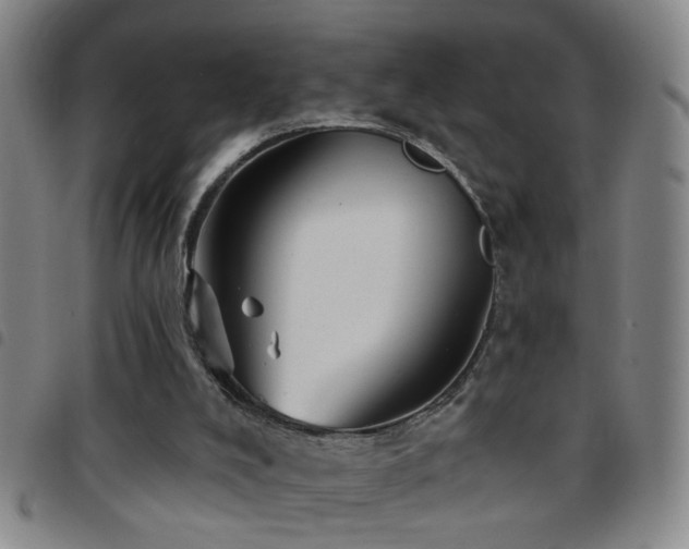 X0000097890008200803141343