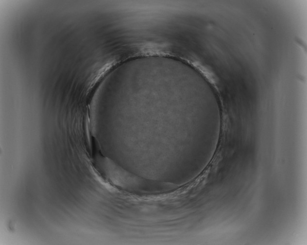 X0000097890009200803141343
