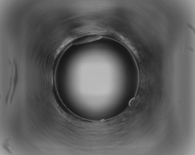 X0000097890011200803141343