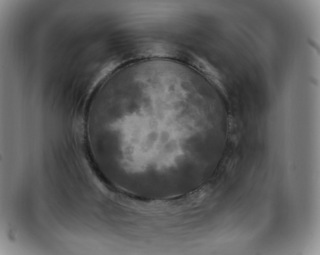 X0000097890012200803141343