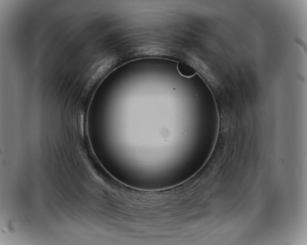 X0000097890014200803141343