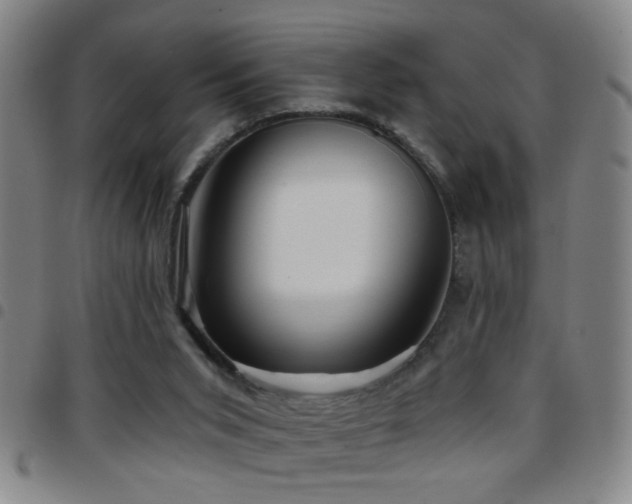 X0000097890015200803141343