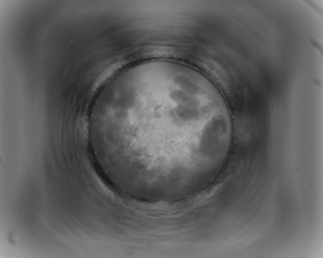 X0000097890016200803141343