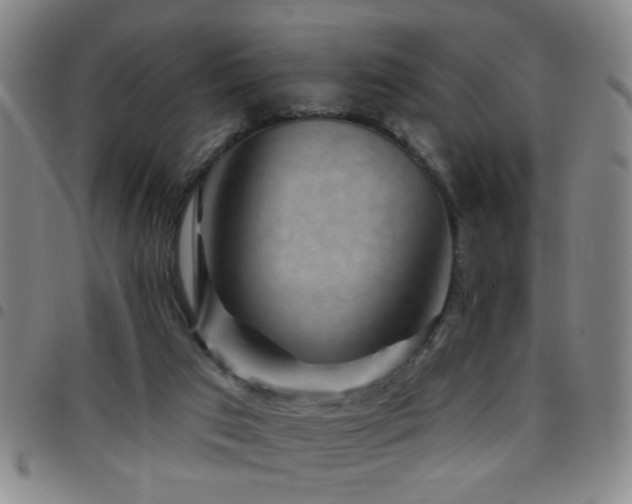 X0000097890017200803141343