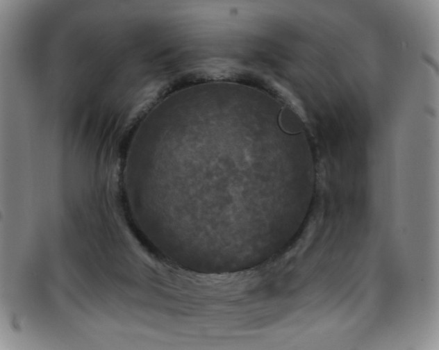 X0000097890018200803141343
