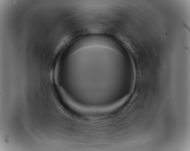 X0000097890019200803141343