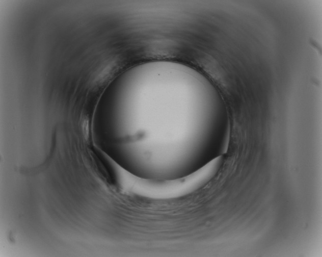 X0000097890021200803141343