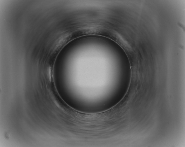 X0000097890022200803141343