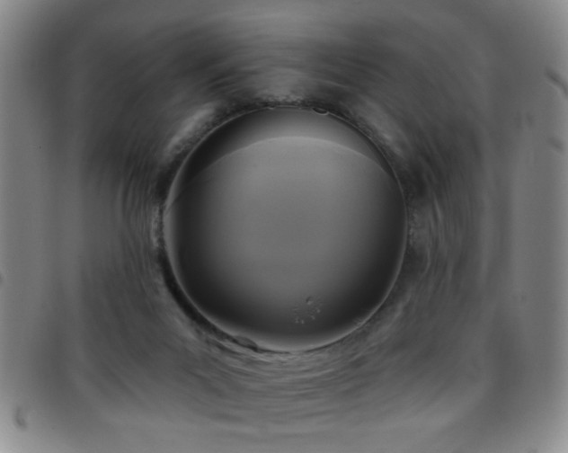 X0000097890023200803141343