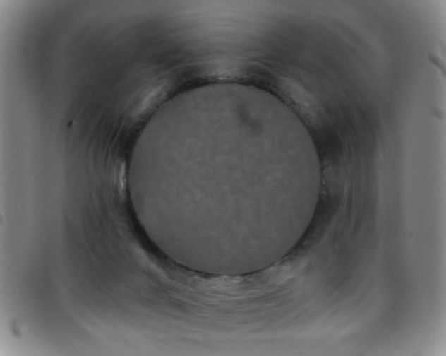 X0000097890024200803141343