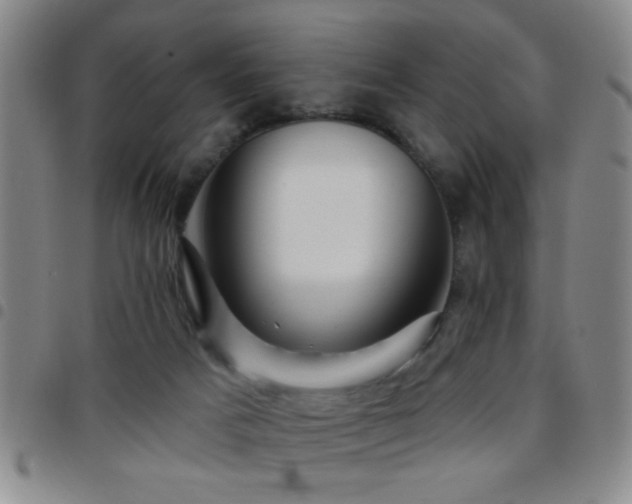 X0000097890025200803141343
