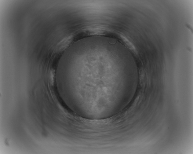 X0000097890026200803141343