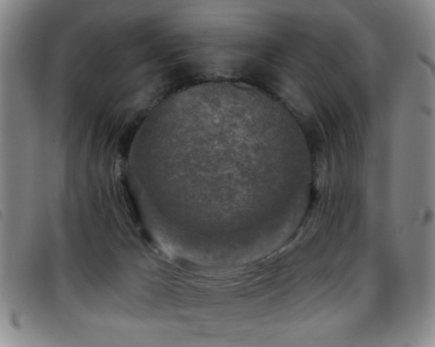 X0000097890029200803141343