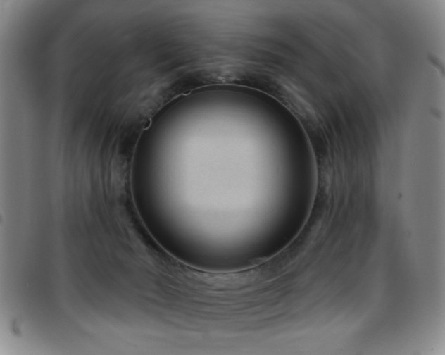 X0000097890030200803141343