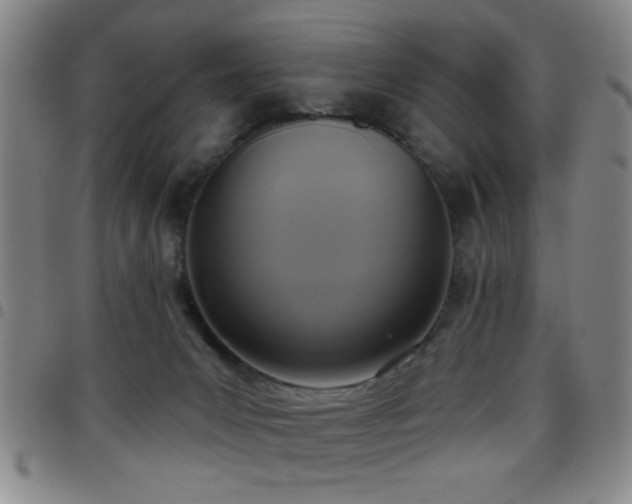 X0000097890031200803141343