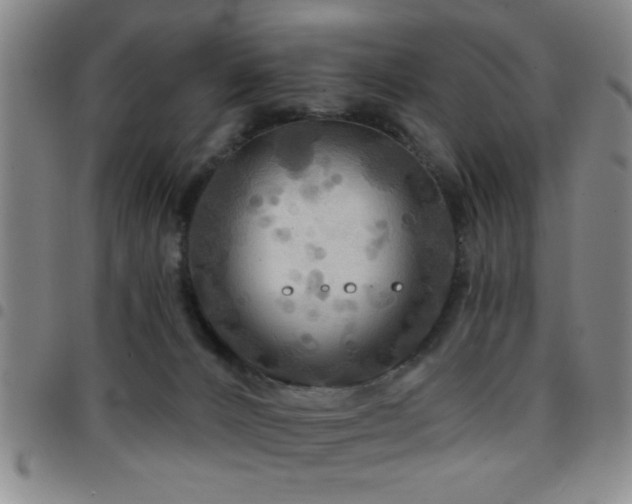X0000097890032200803141343