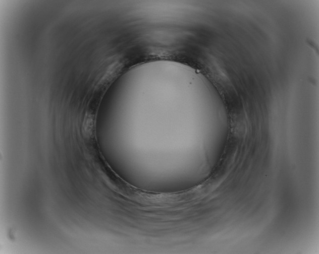 X0000097890036200803141342
