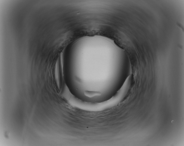 X0000097890037200803141342