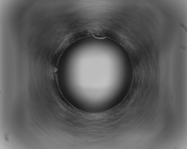 X0000097890038200803141342