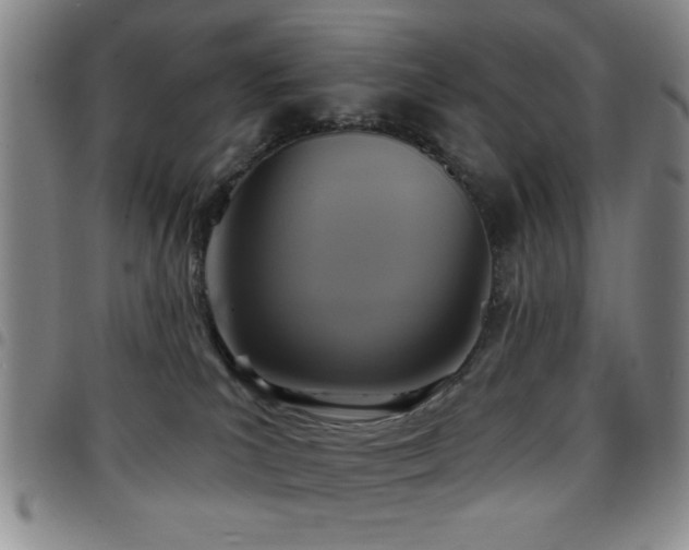 X0000097890039200803141342