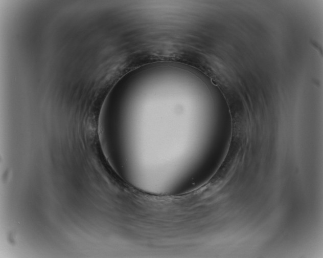 X0000097890040200803141342