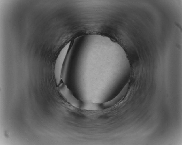 X0000097890041200803141342