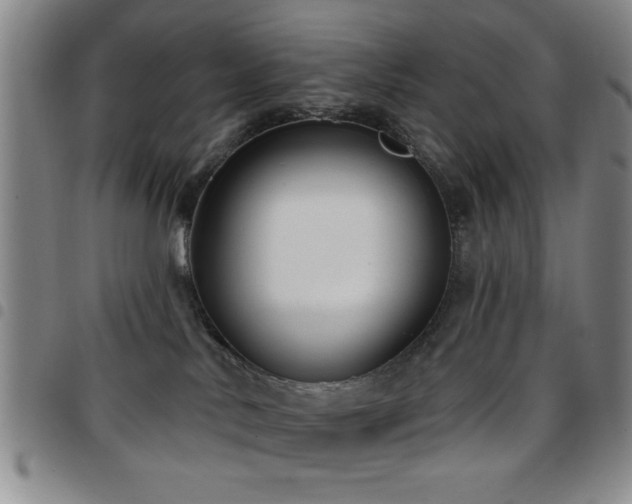 X0000097890042200803141342