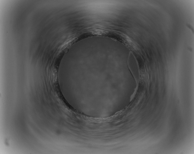 X0000097890043200803141342