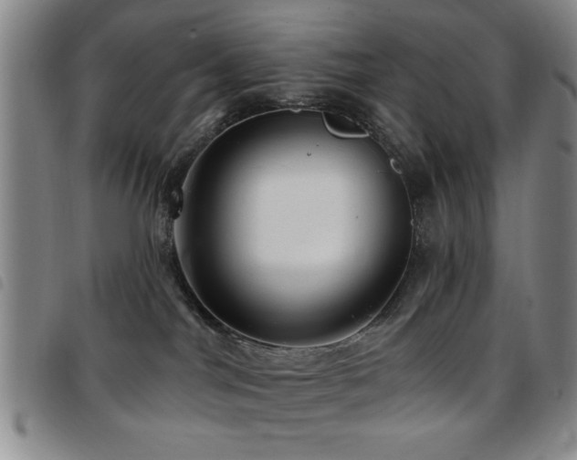 X0000097890044200803141342