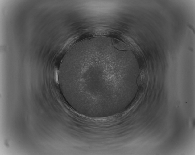 X0000097890046200803141342