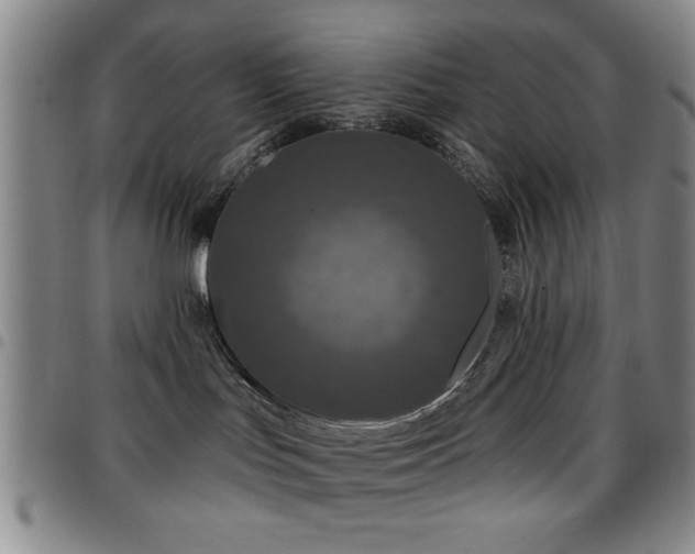 X0000097890047200803141342
