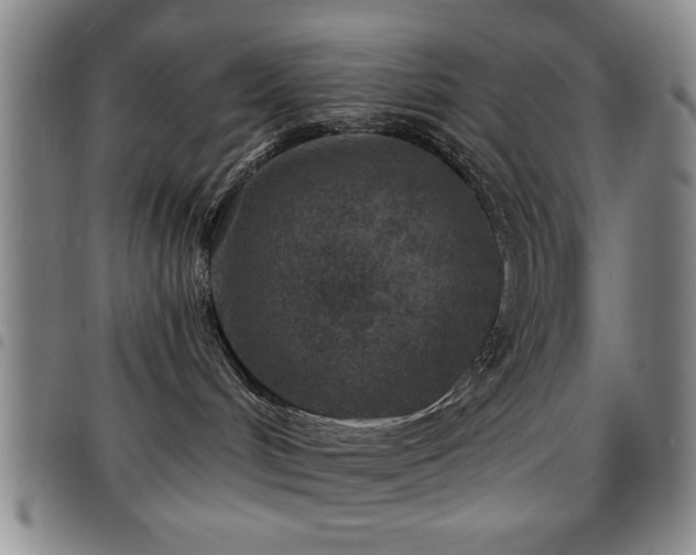 X0000097890048200803141342