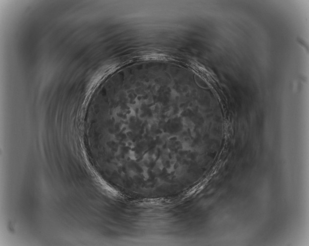 X0000097890049200803141342