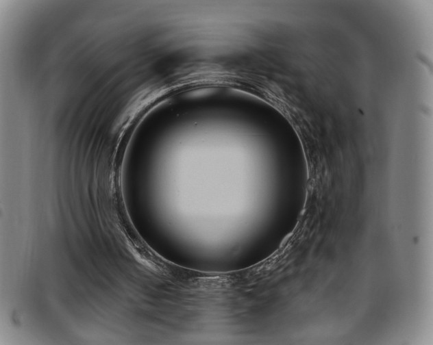 X0000097890050200803141342