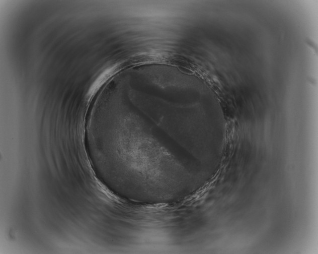 X0000097890051200803141342