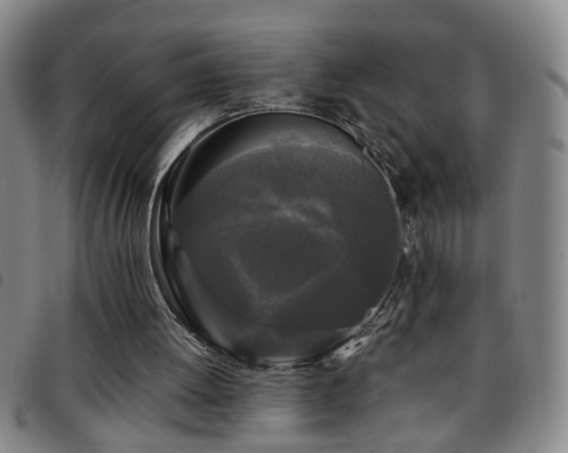 X0000097890052200803141342