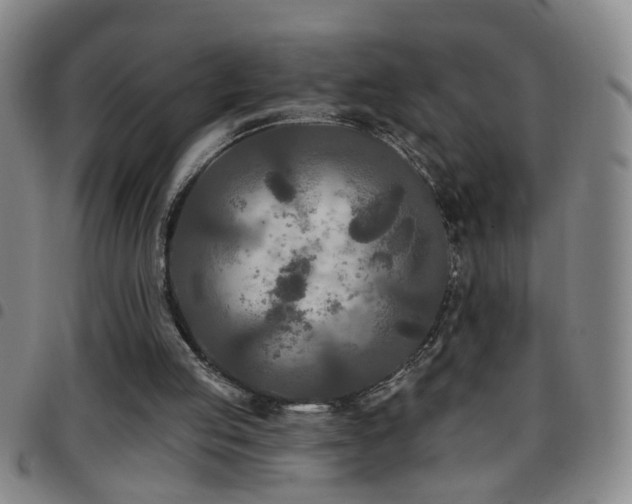 X0000097890053200803141342