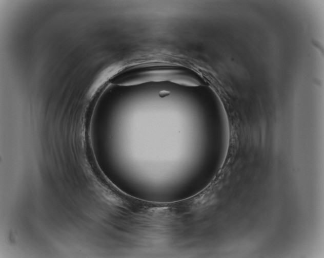 X0000097890054200803141342