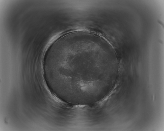 X0000097890055200803141342
