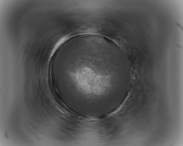 X0000097890056200803141342
