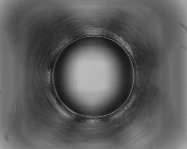 X0000097890057200803141342