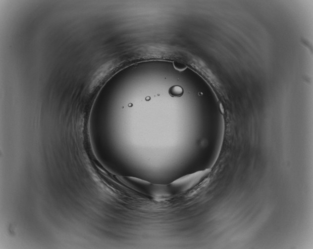 X0000097890058200803141342