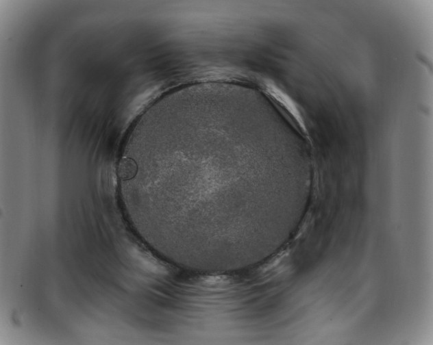 X0000097890059200803141342