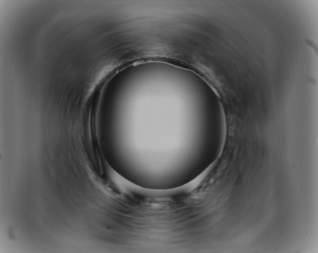 X0000097890060200803141342