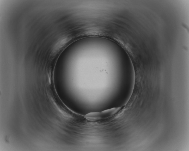 X0000097890062200803141342