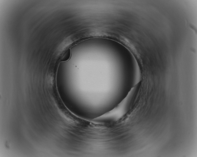X0000097890063200803141342
