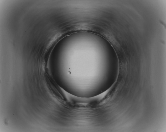 X0000097890064200803141342