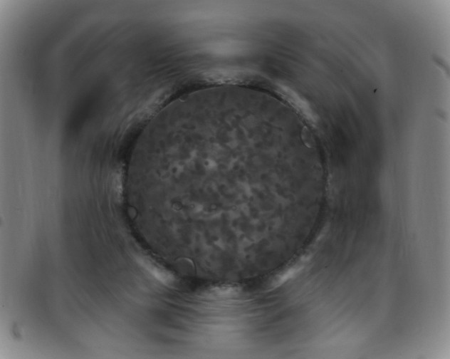 X0000097890065200803141342